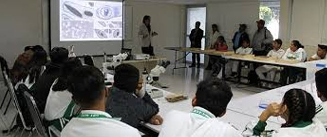 Logo Institucional 1