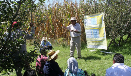 Logo Institucional 3